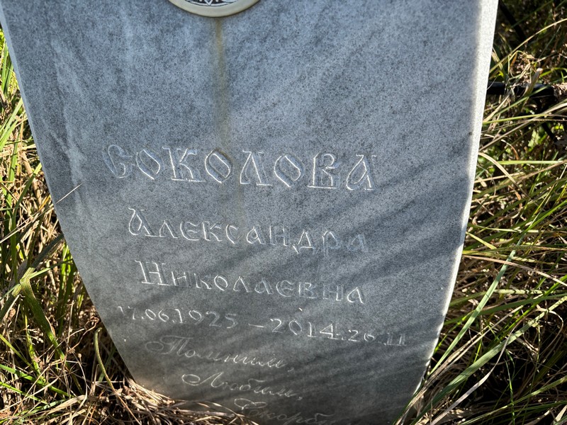 Соколова Александра Николаевна