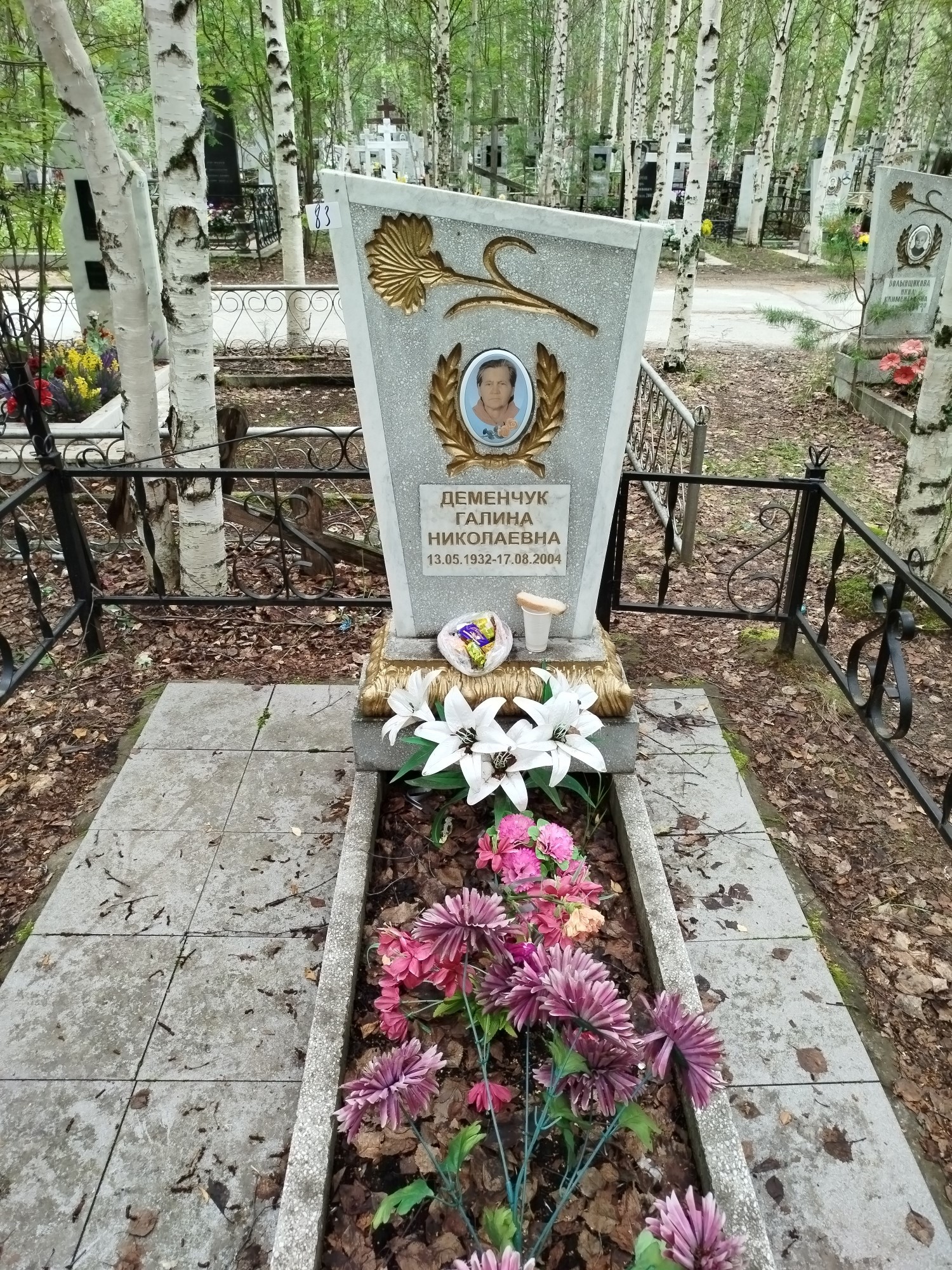 Деменчук Галина Николаевна