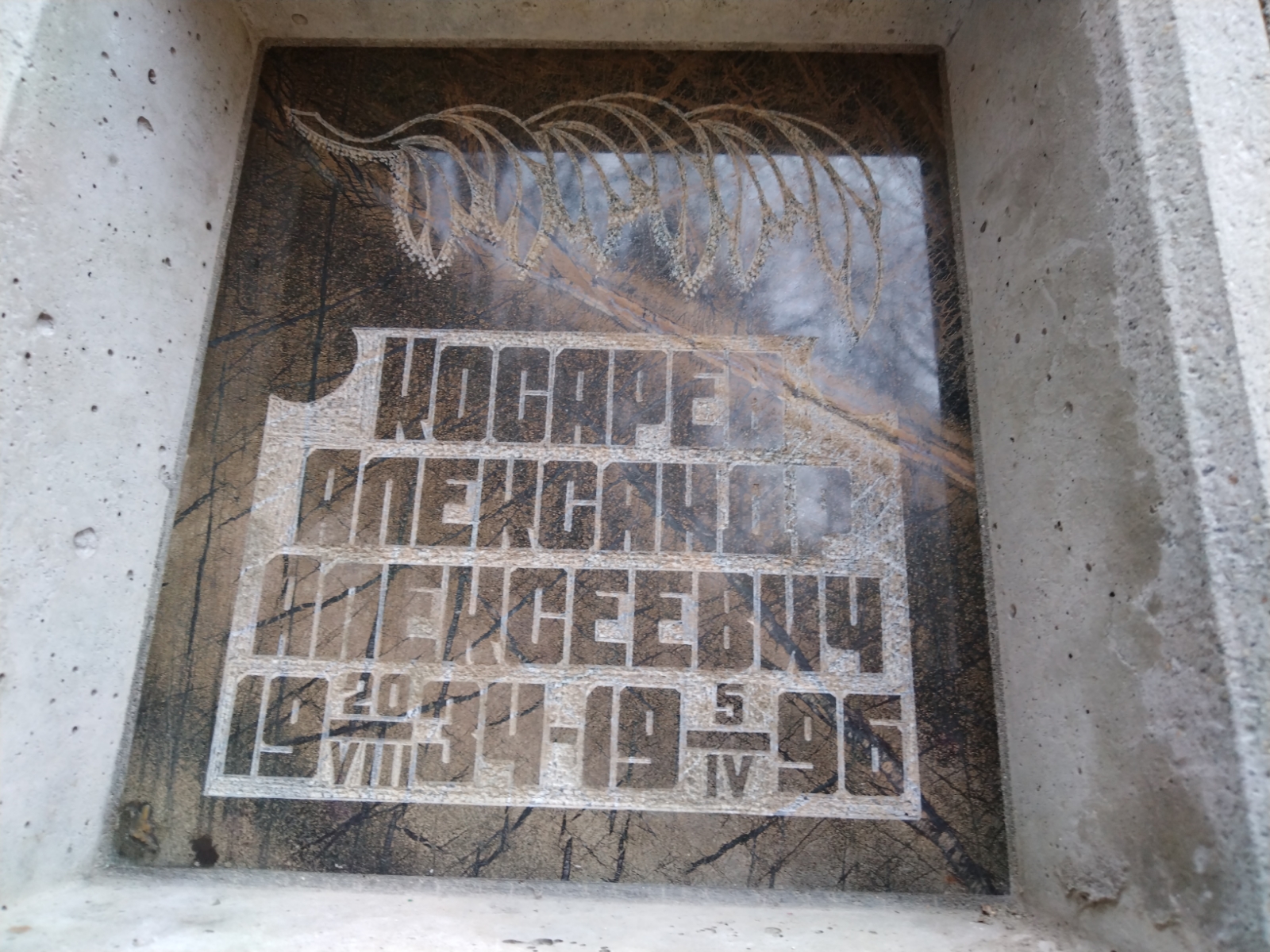Косарев Александр Алексеевич