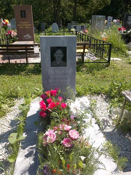 Постникова Анастасия Николаевна