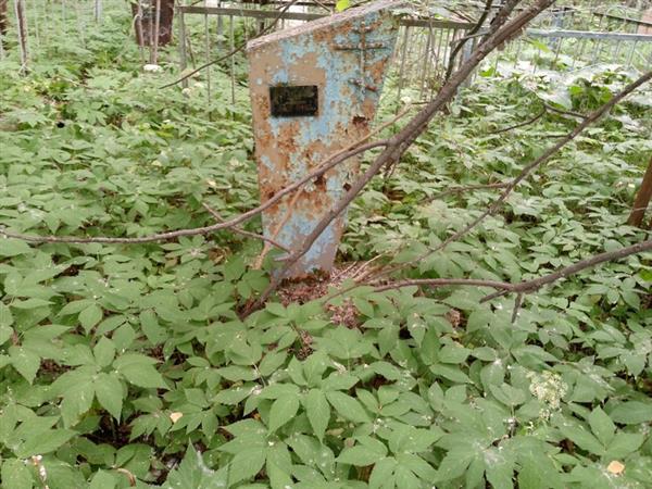 Алькова Мария Андреевна