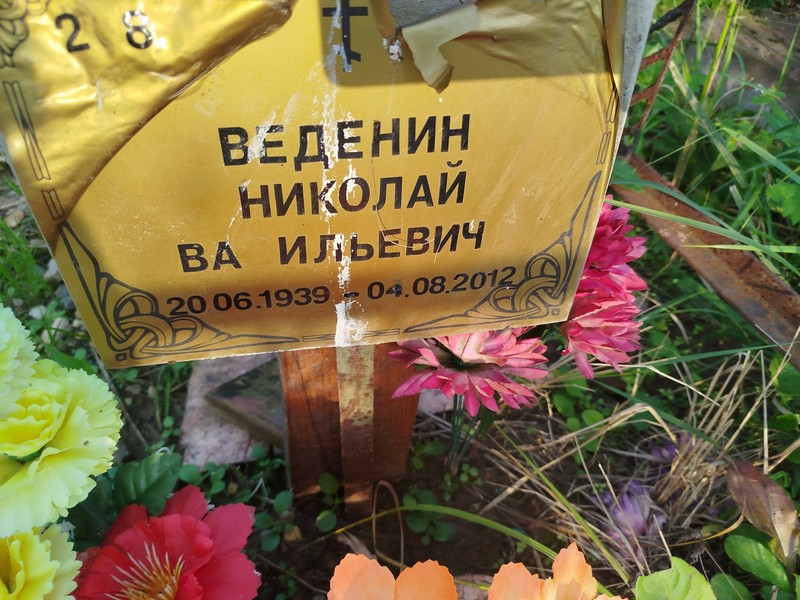 Веденин