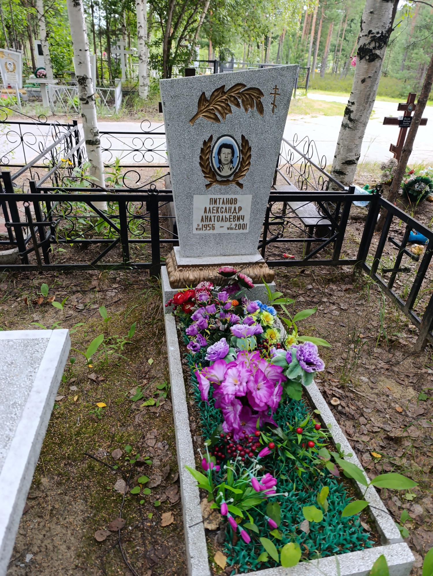 Питанов Александр Анатольевич