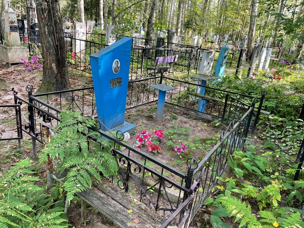 Волкова И И