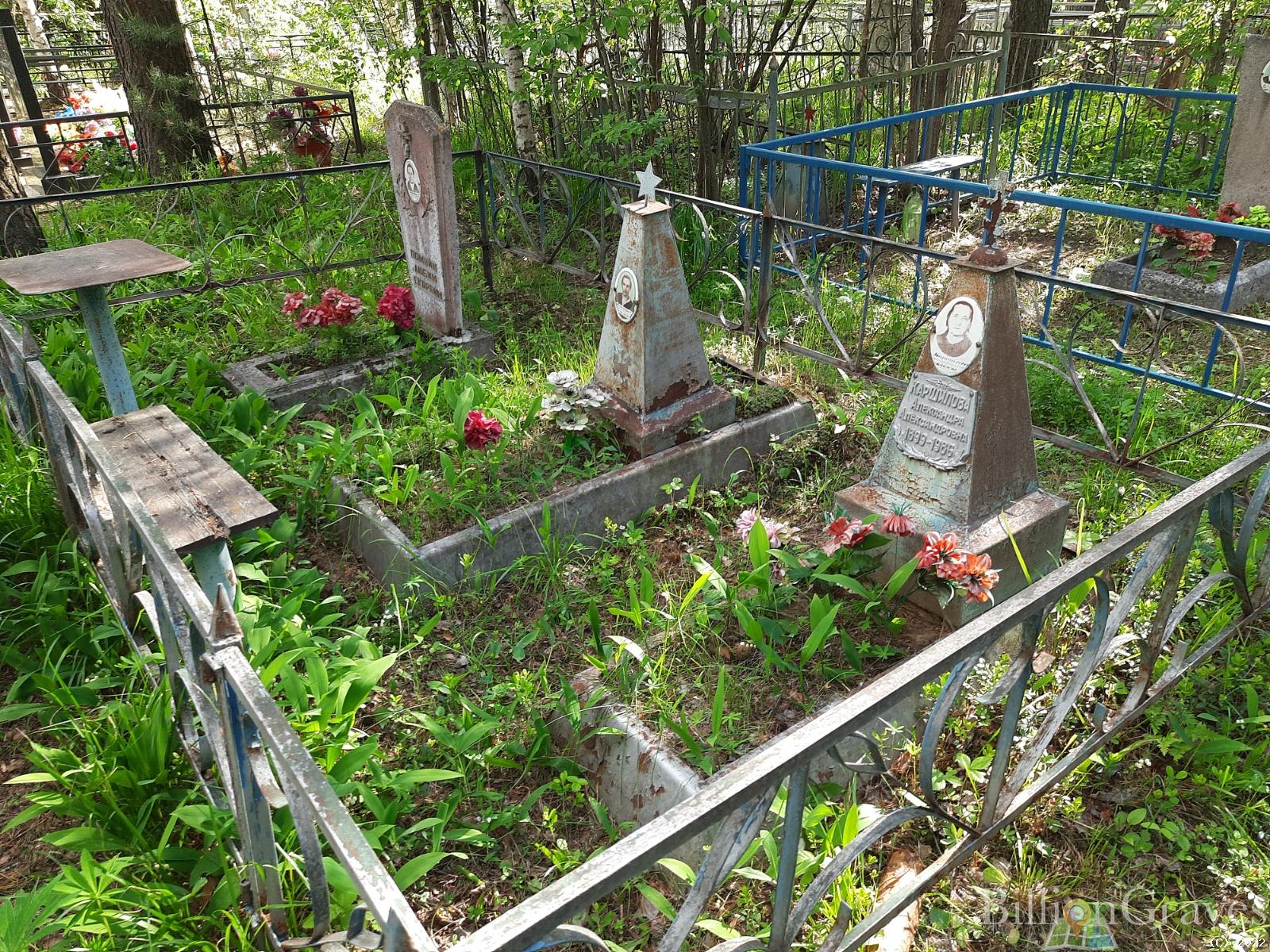 Каршилова Александра Александровна