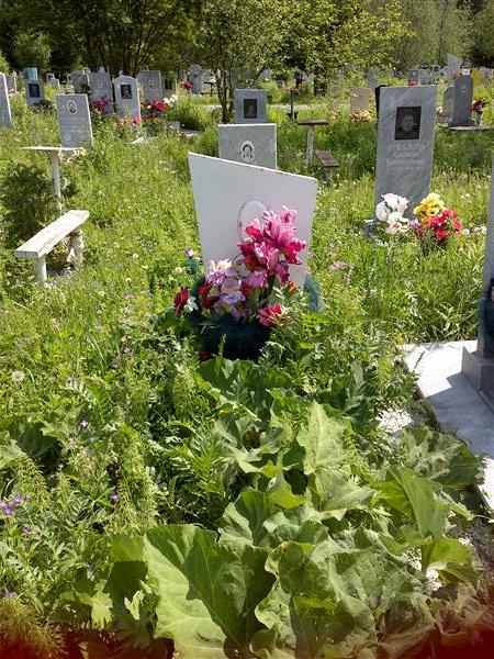 Чальцева Мария Петровна