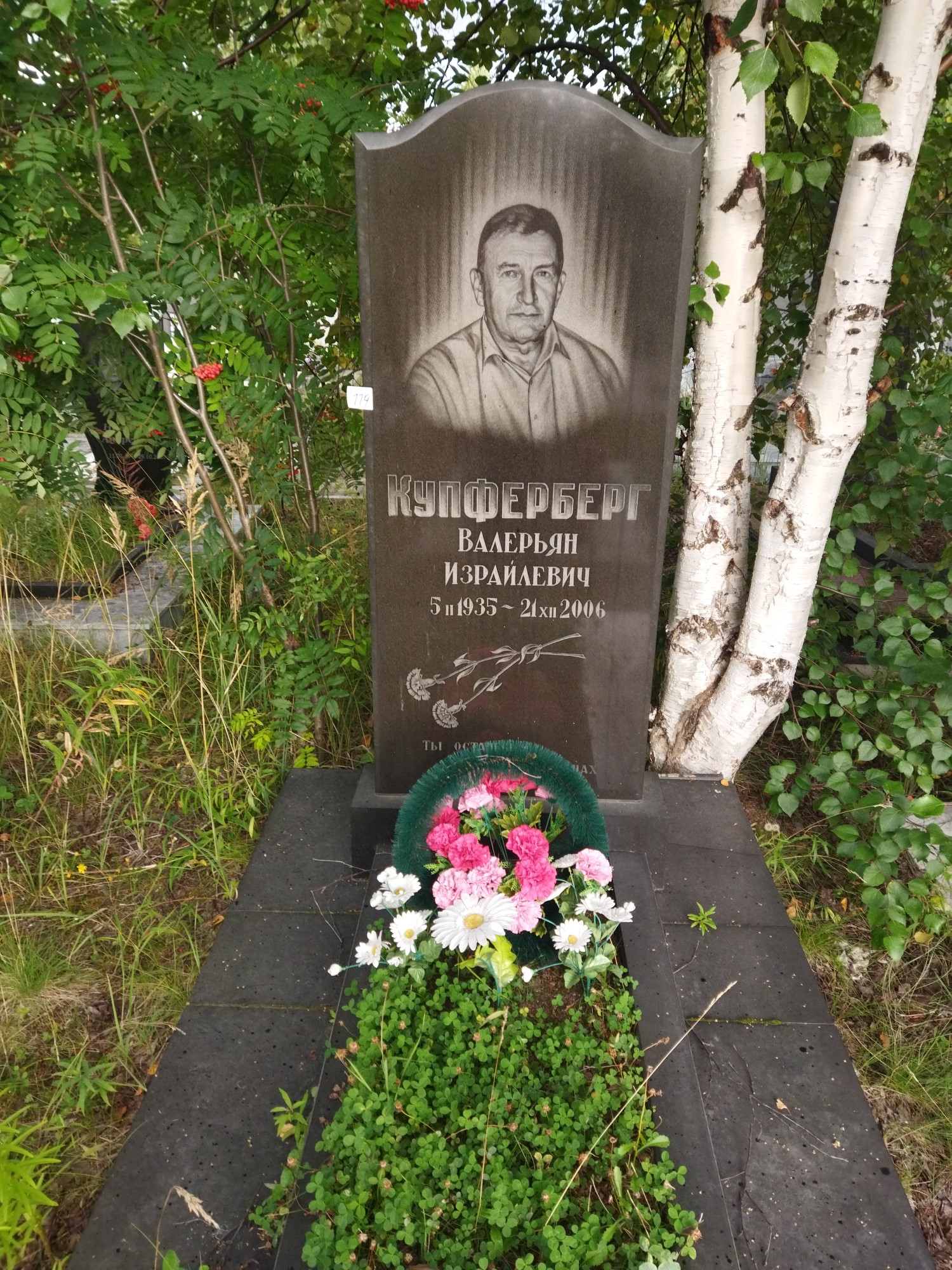 Купферберг Валерьян Израйлевич