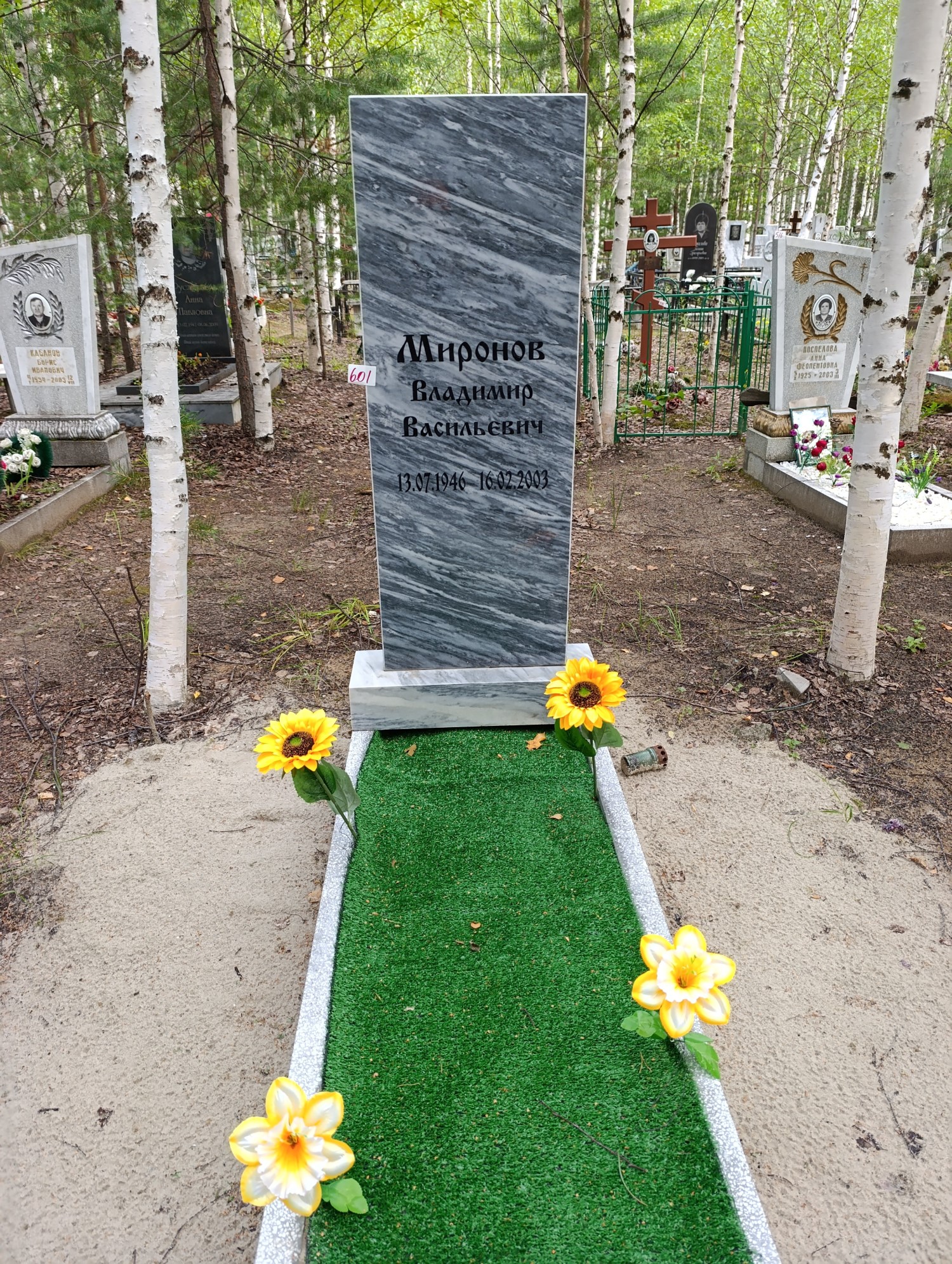 Миронов Владимир Васильевич