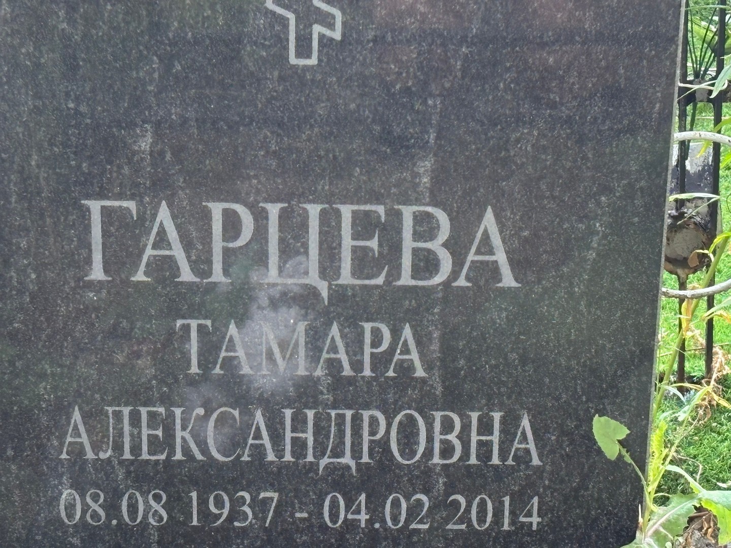 Гарцева