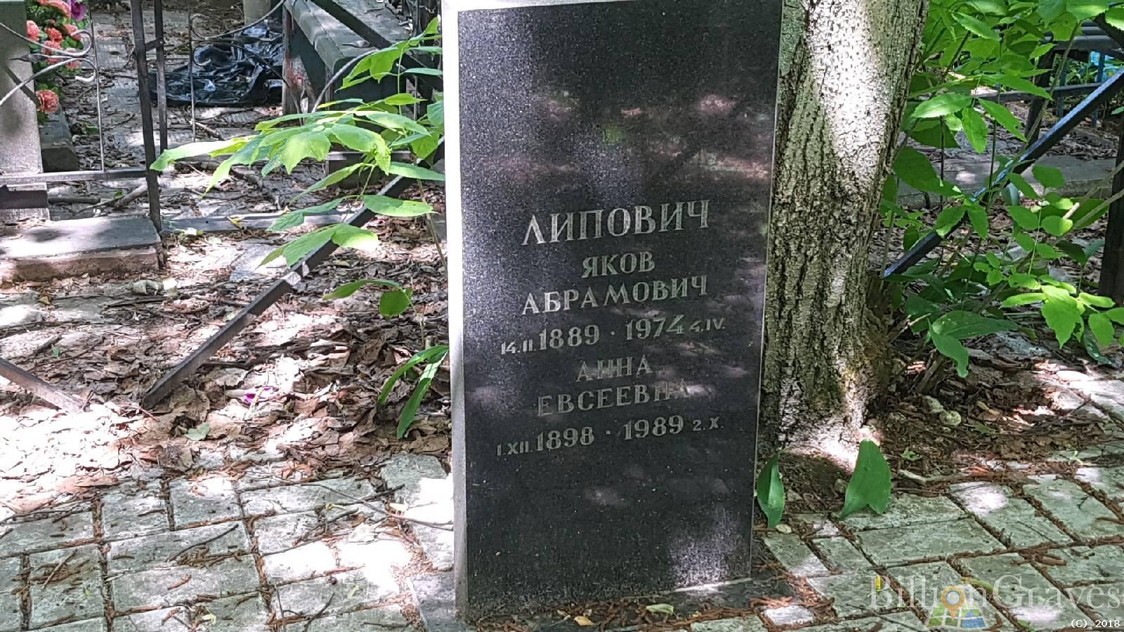 Липович Анна Евсеевна