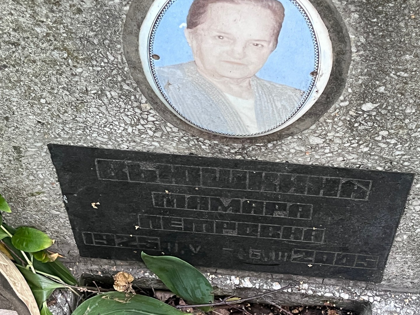 Вьюшкина