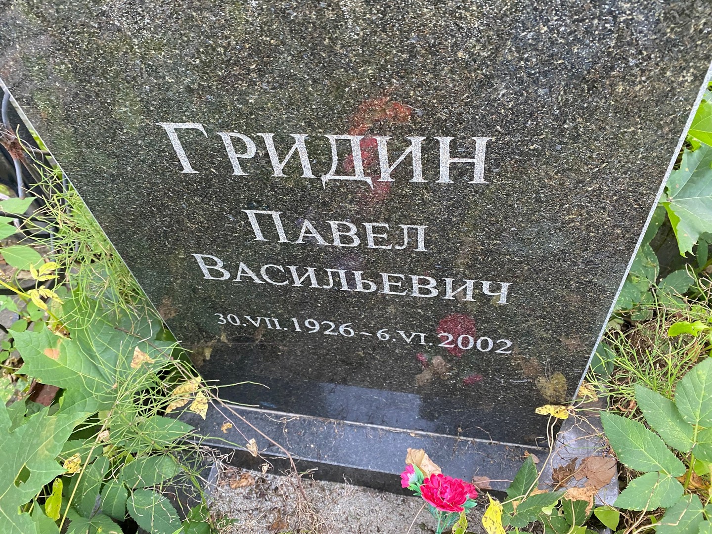 Гридин