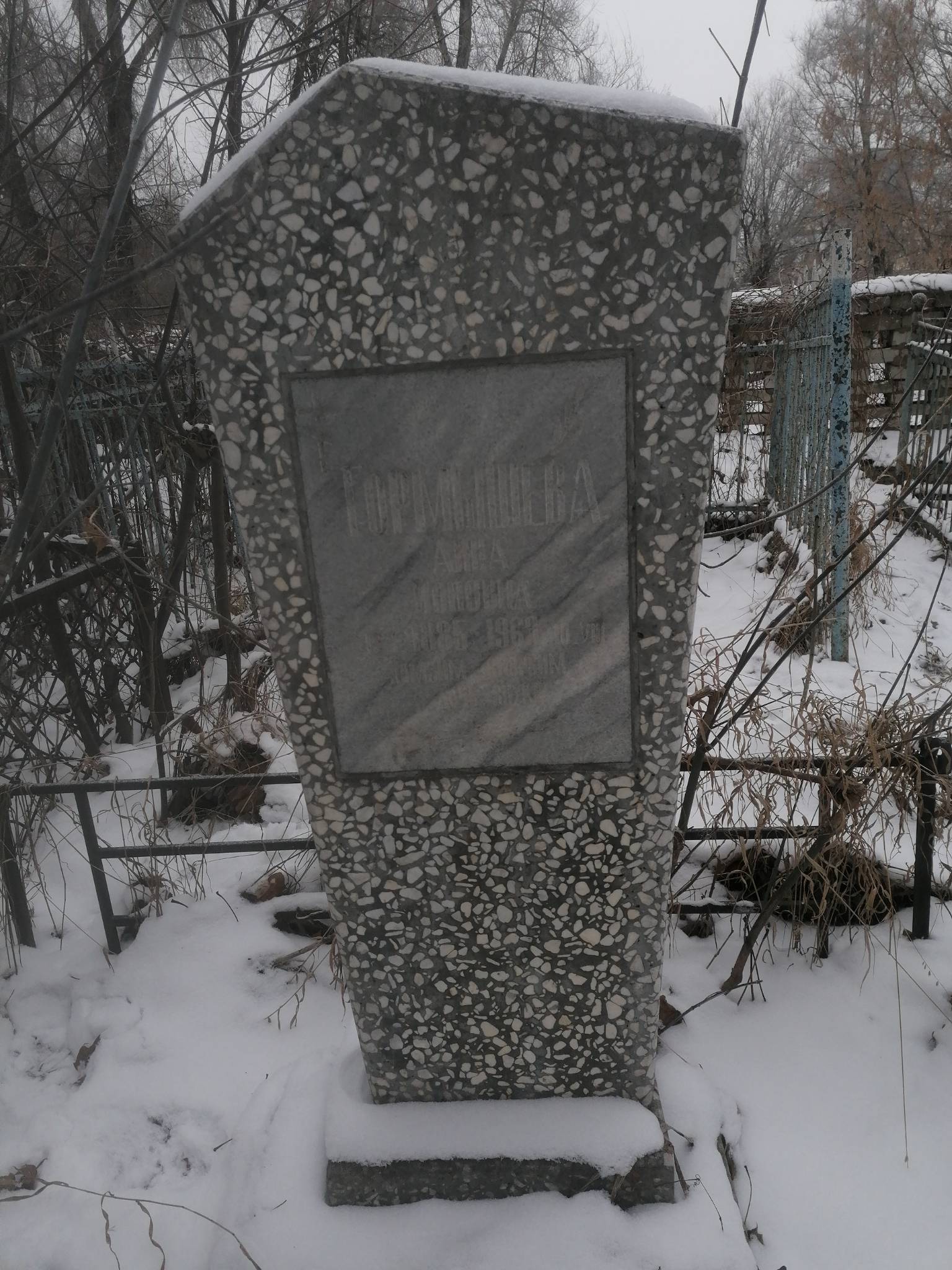 Тормышева Анна Ионовна