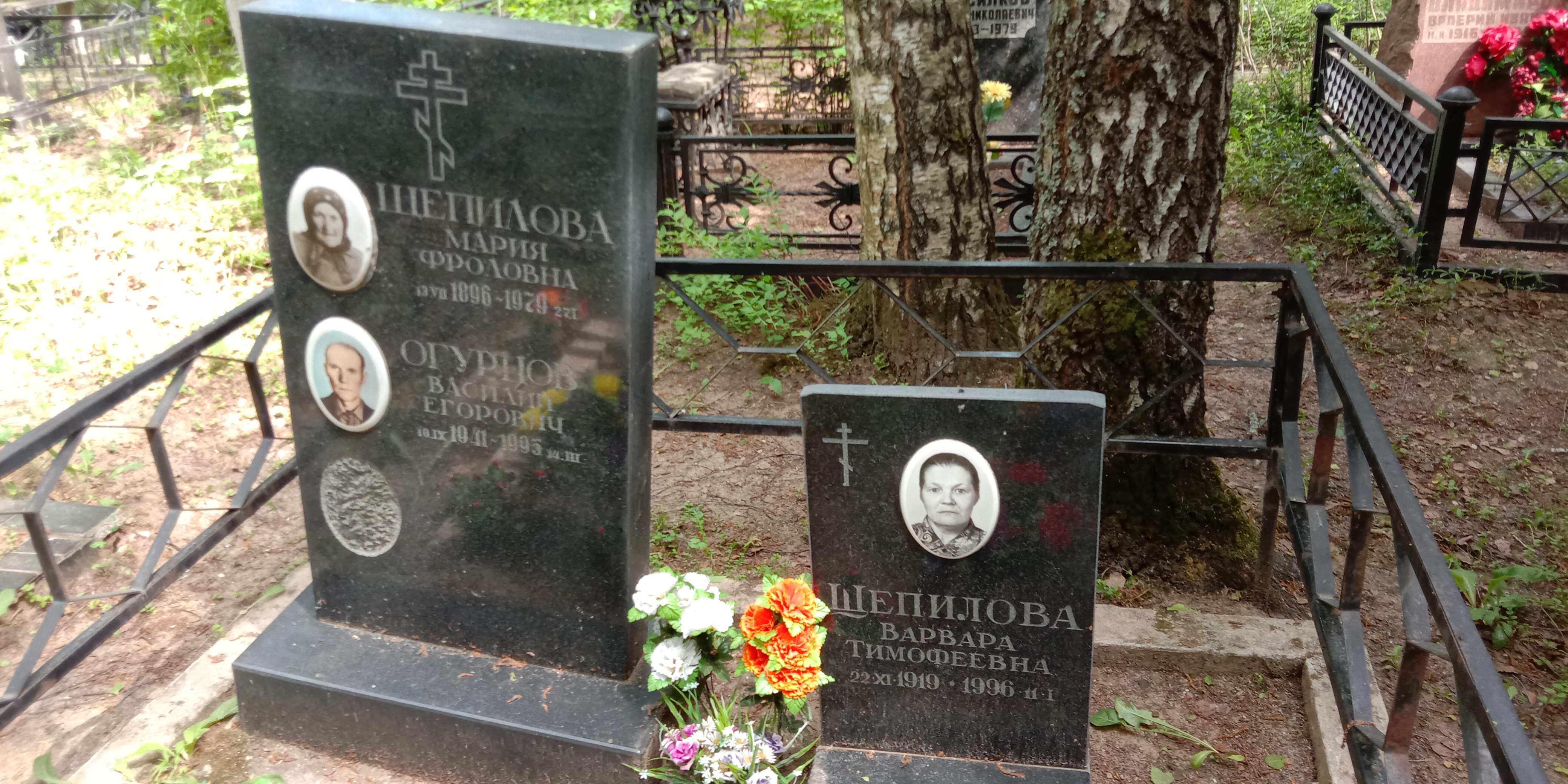 Щепилова Варвара Тимофеевна