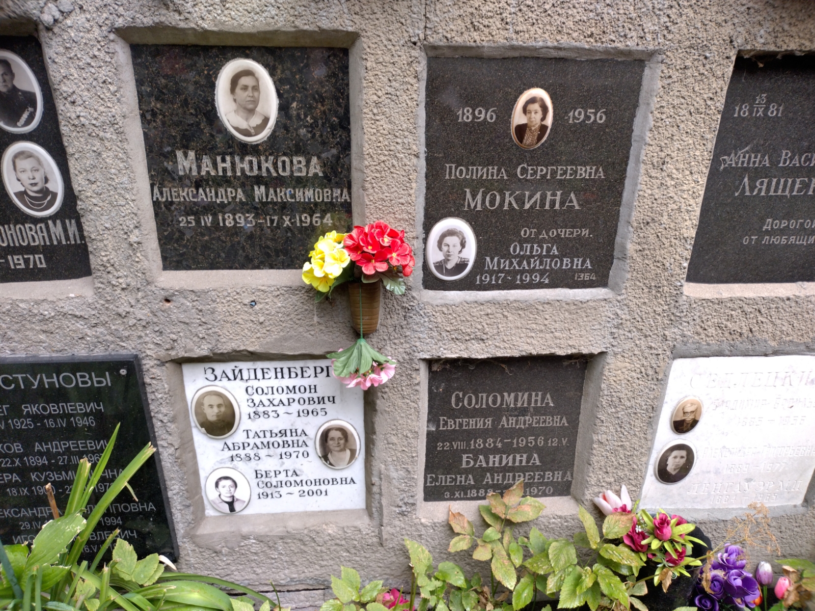 Банина Елена Андреевна
