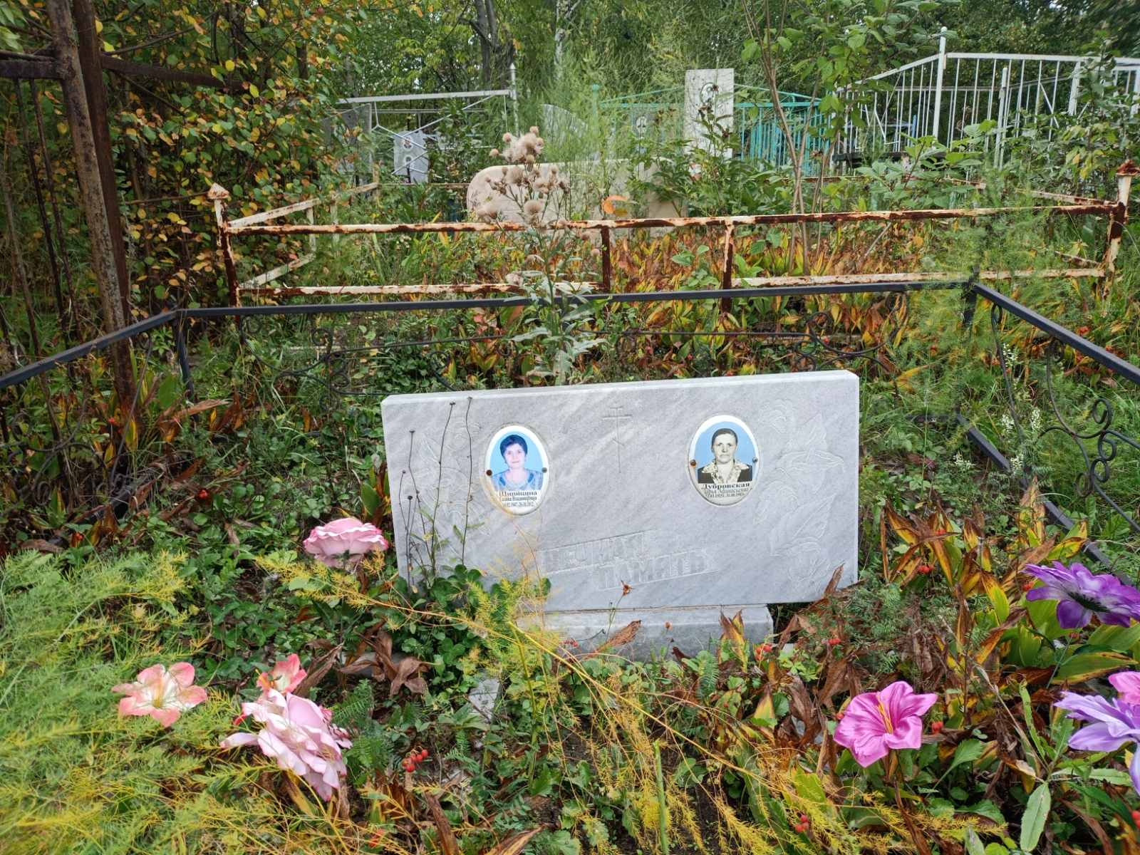 Шипицина Галина Владимировна