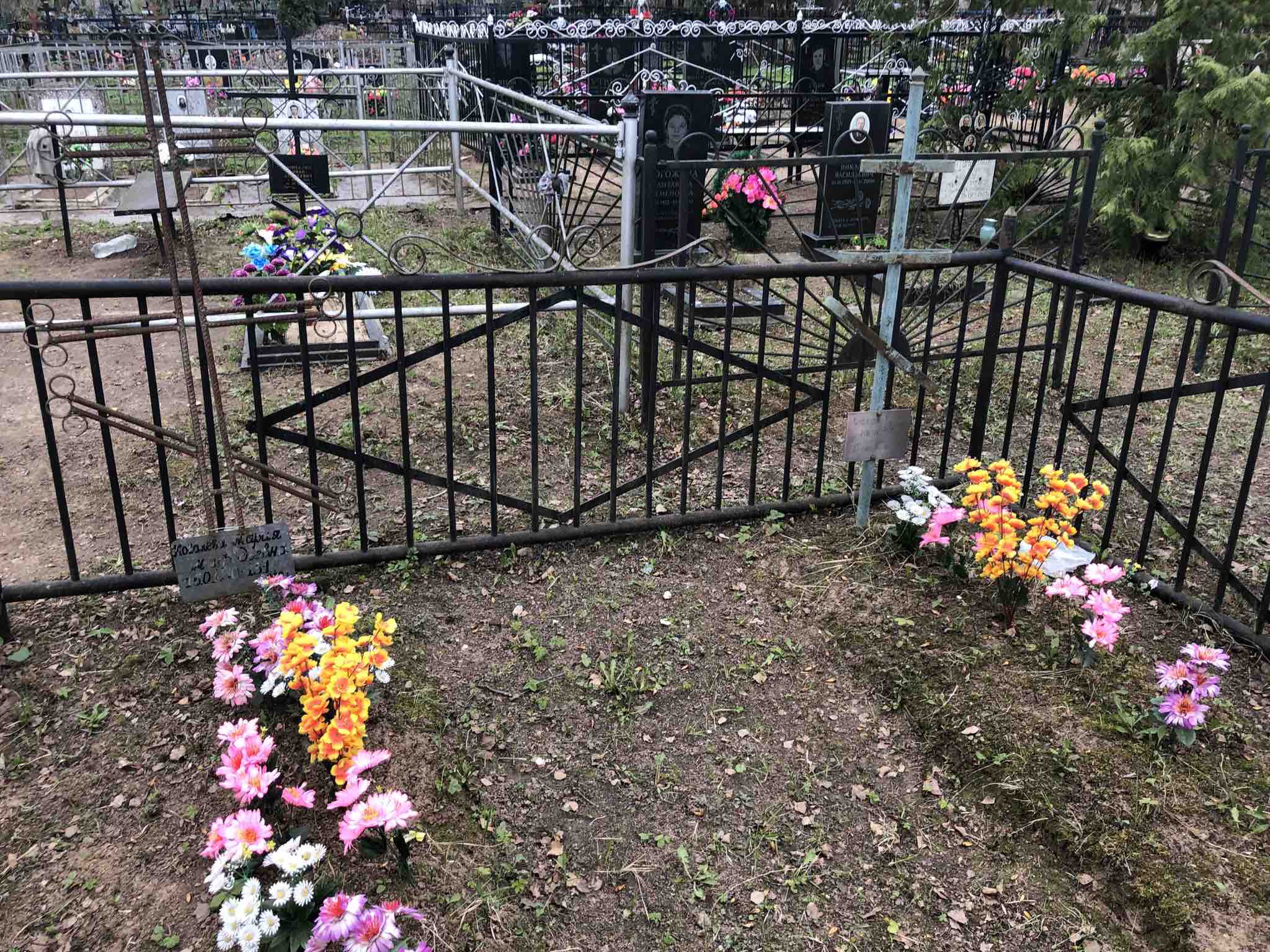 Ковалева Ксения Ивановна