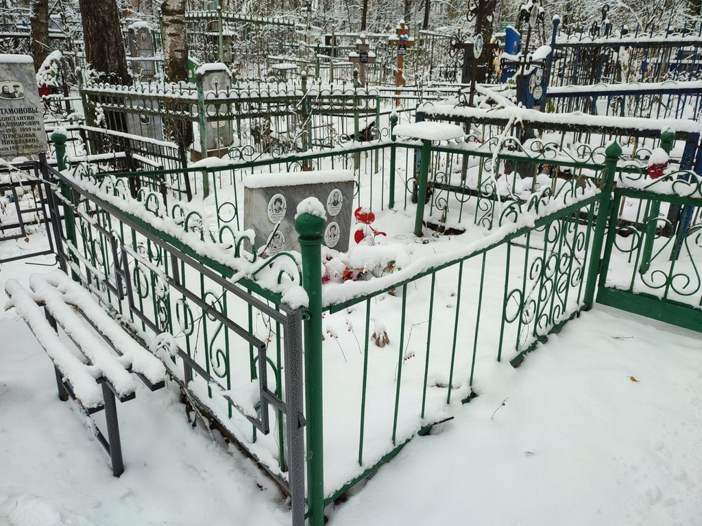 Шишкина Анна Михайловна