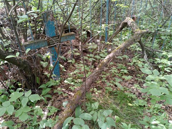 Целых Константин Иванович
