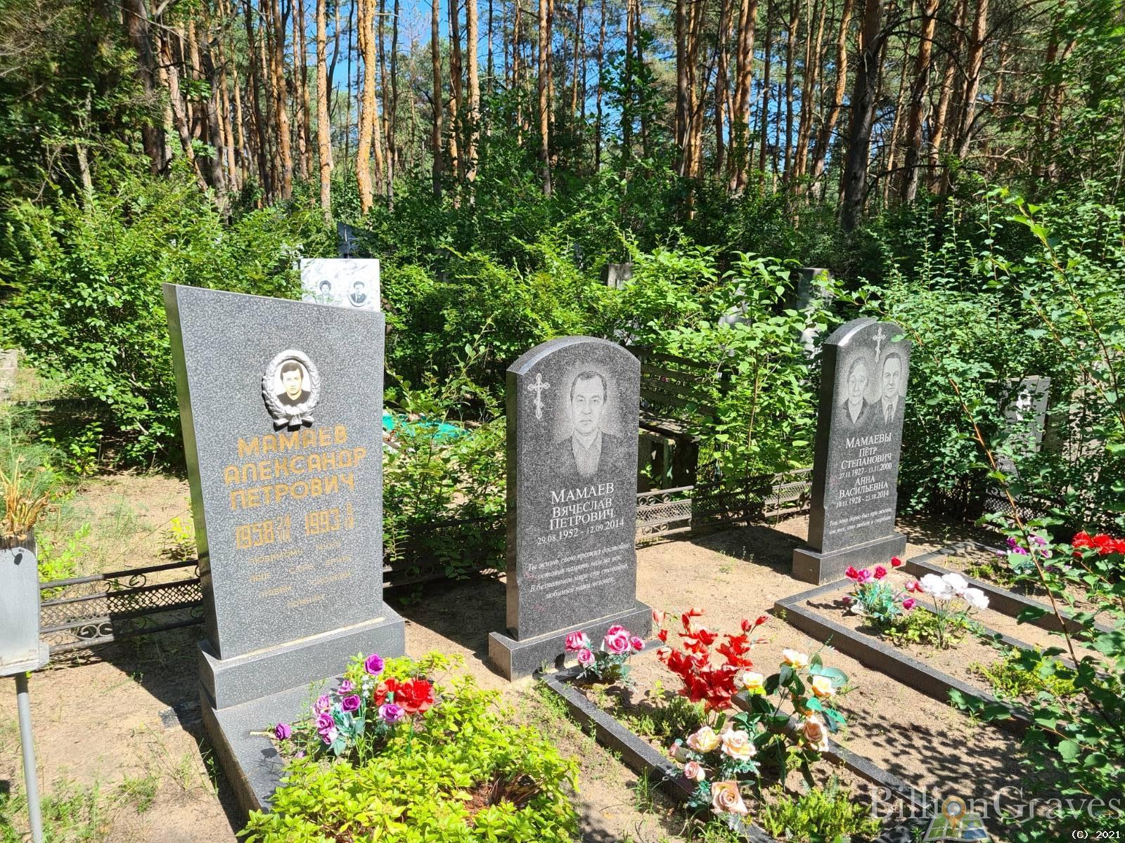 Мамаев Александр Петрович