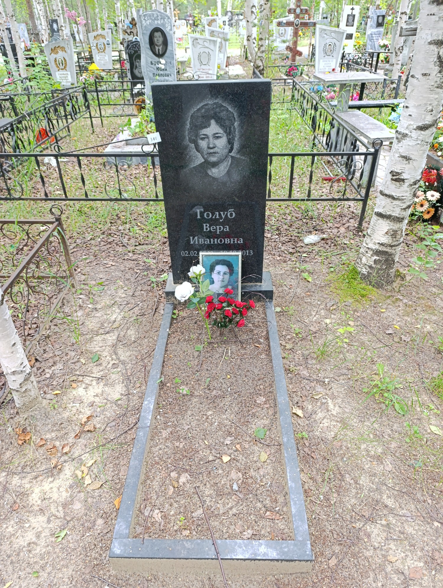 Голуб Вера Ивановна