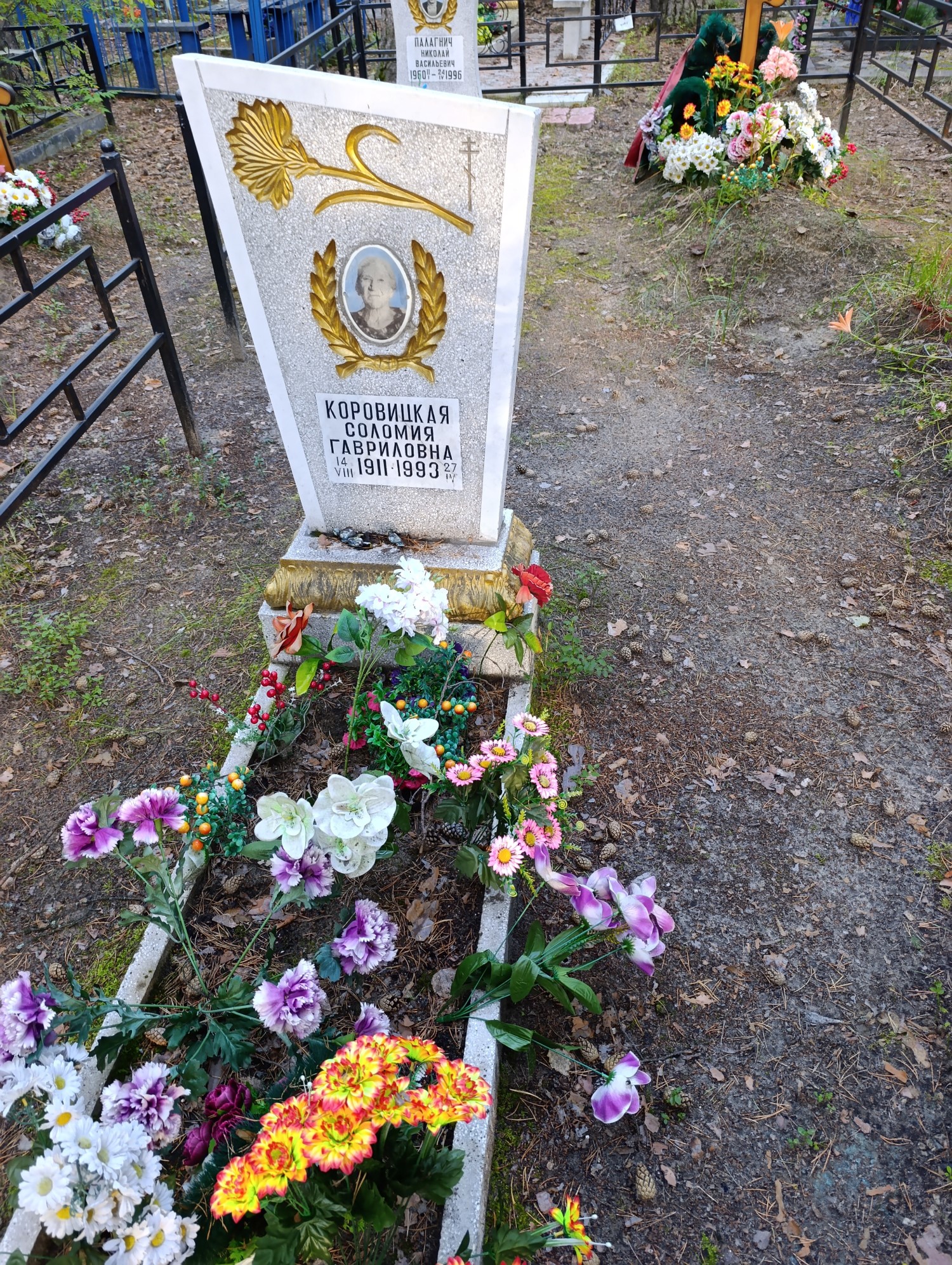 Коровицкая Соломия Гавриловна