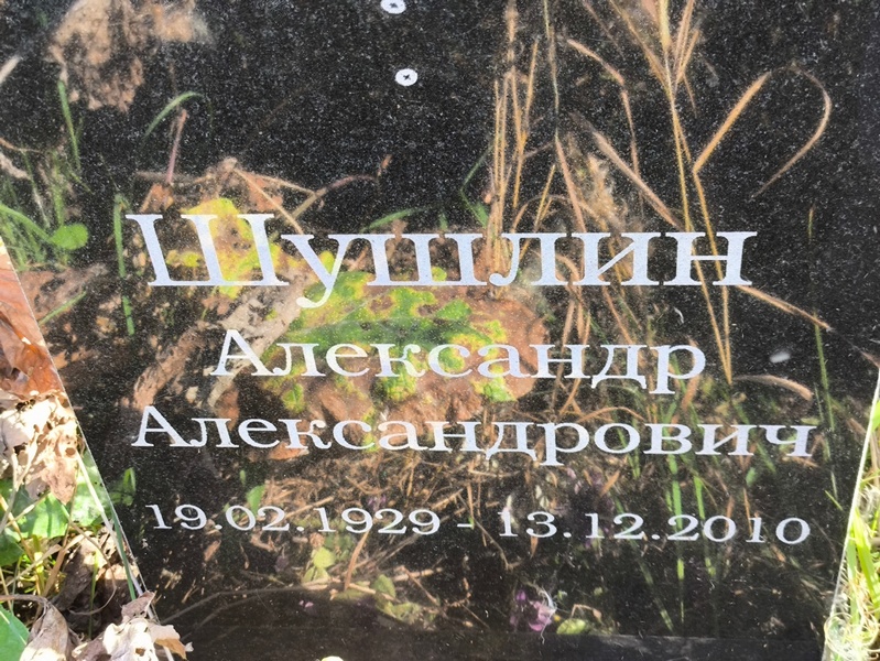 Шушлин