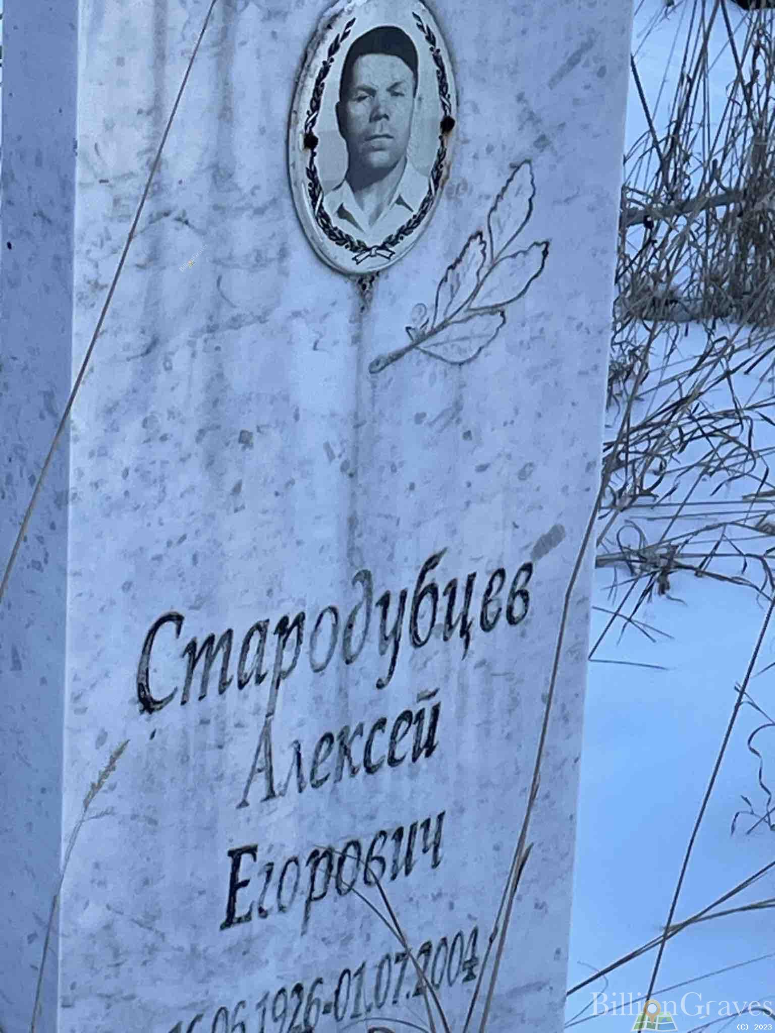 Стародубцев Алексей Егорович