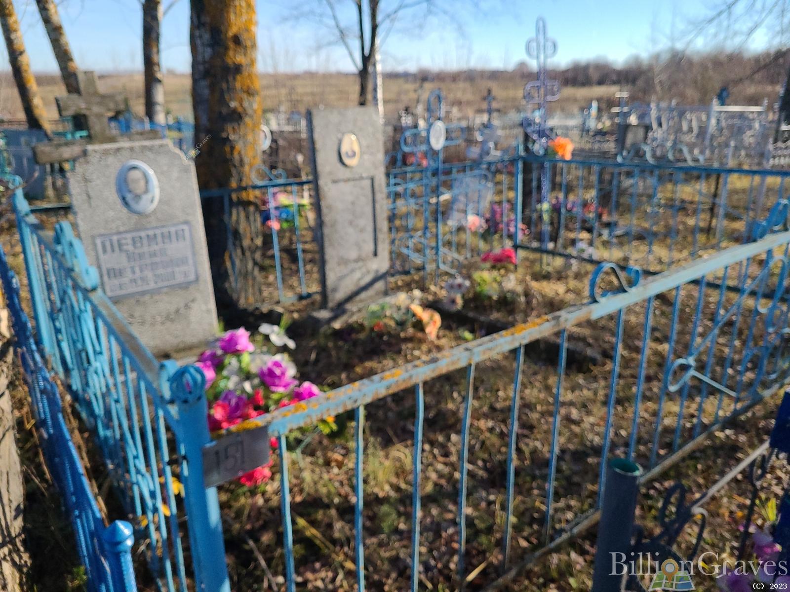 Лёвина Нина Петровна