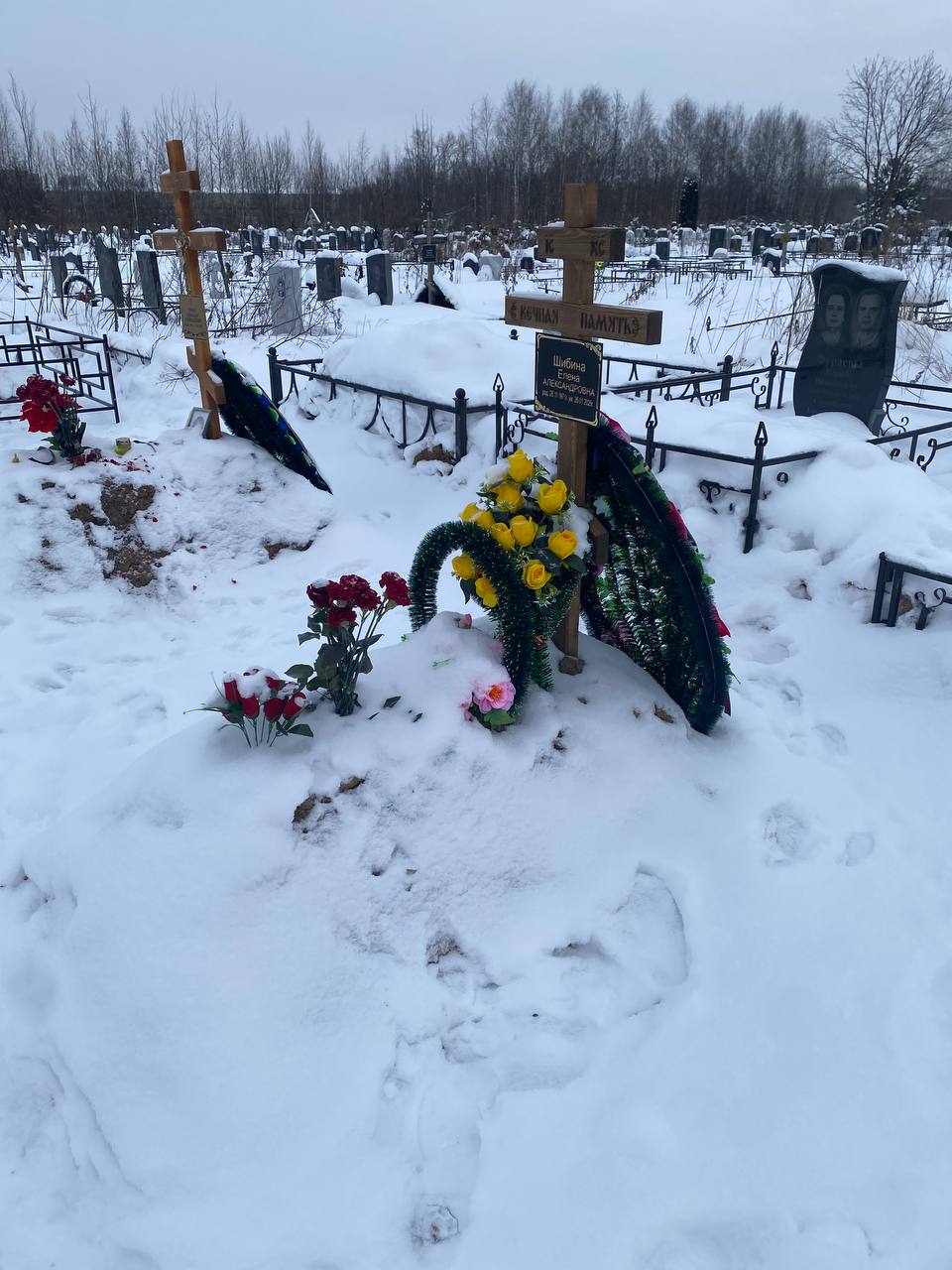 Шибина