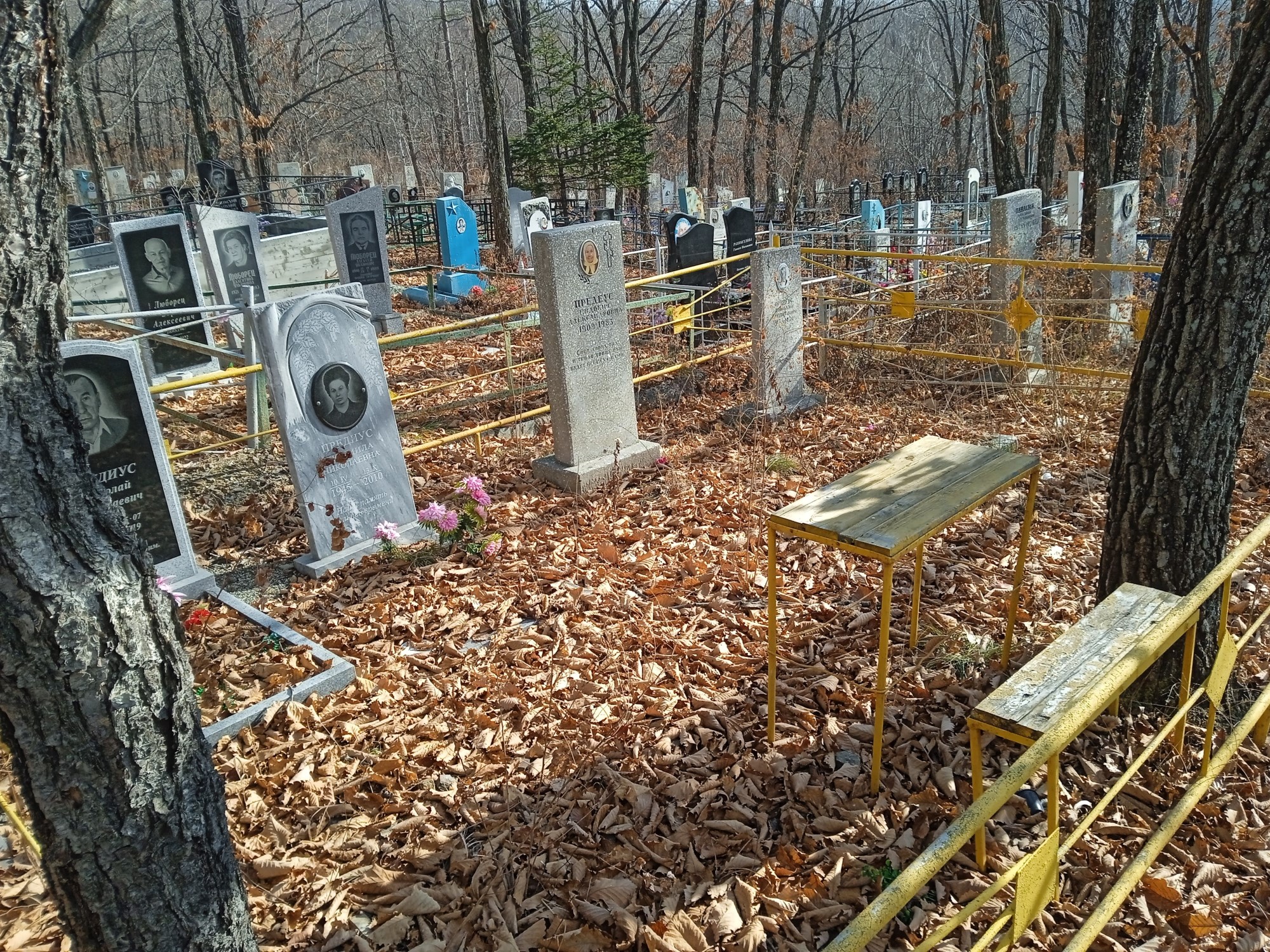 Предеус Николай Степанович