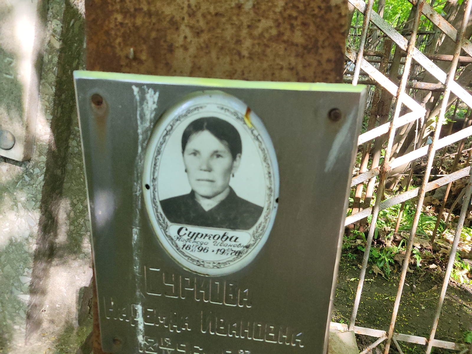 Суркова Надежда Ивановна