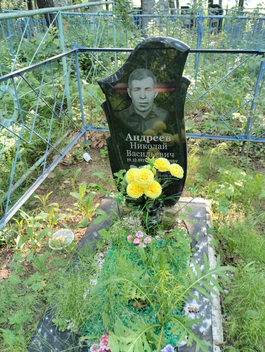 Андреев Николай Васильевич
