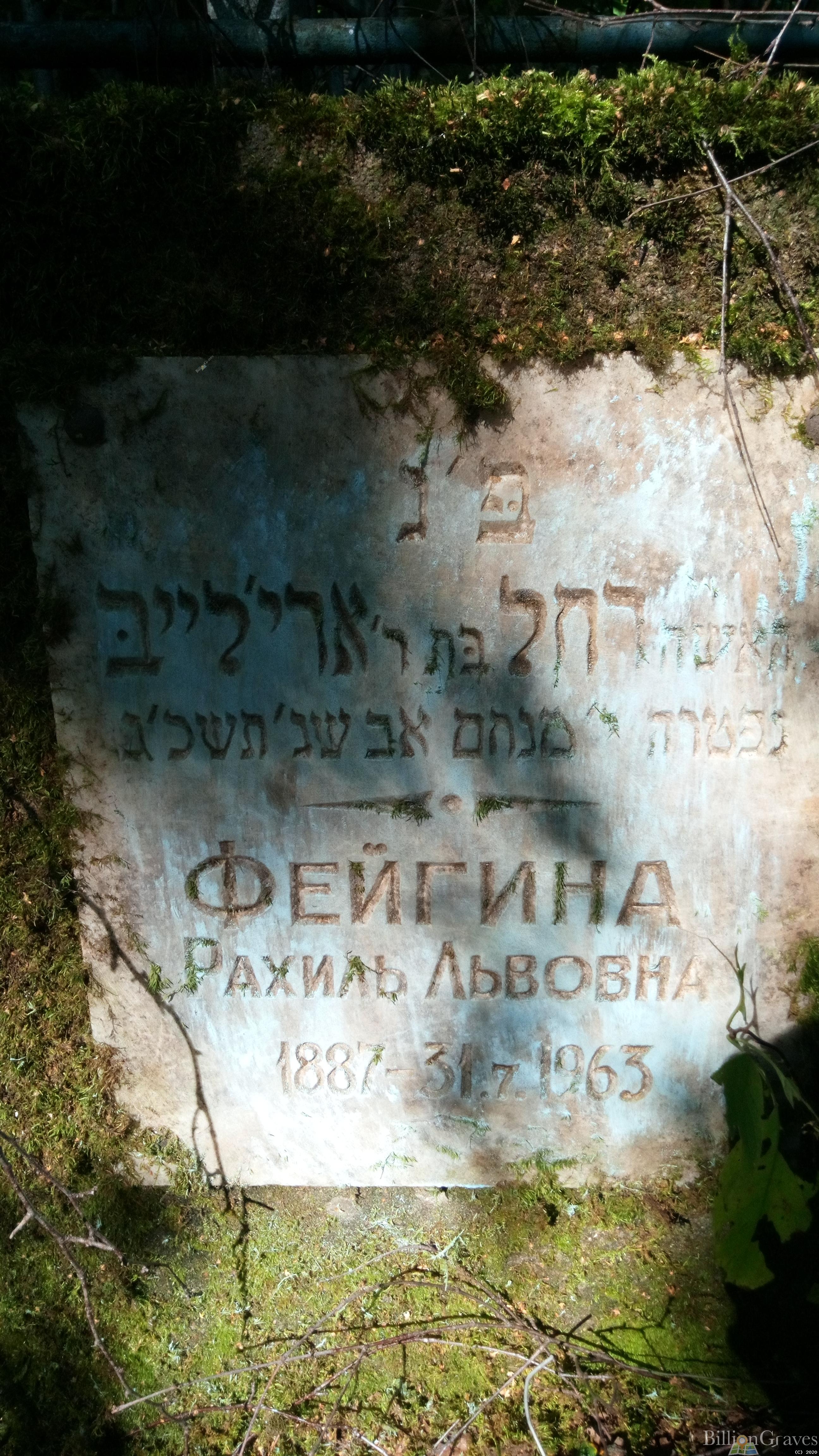 Фейгина Рахиль Львовна