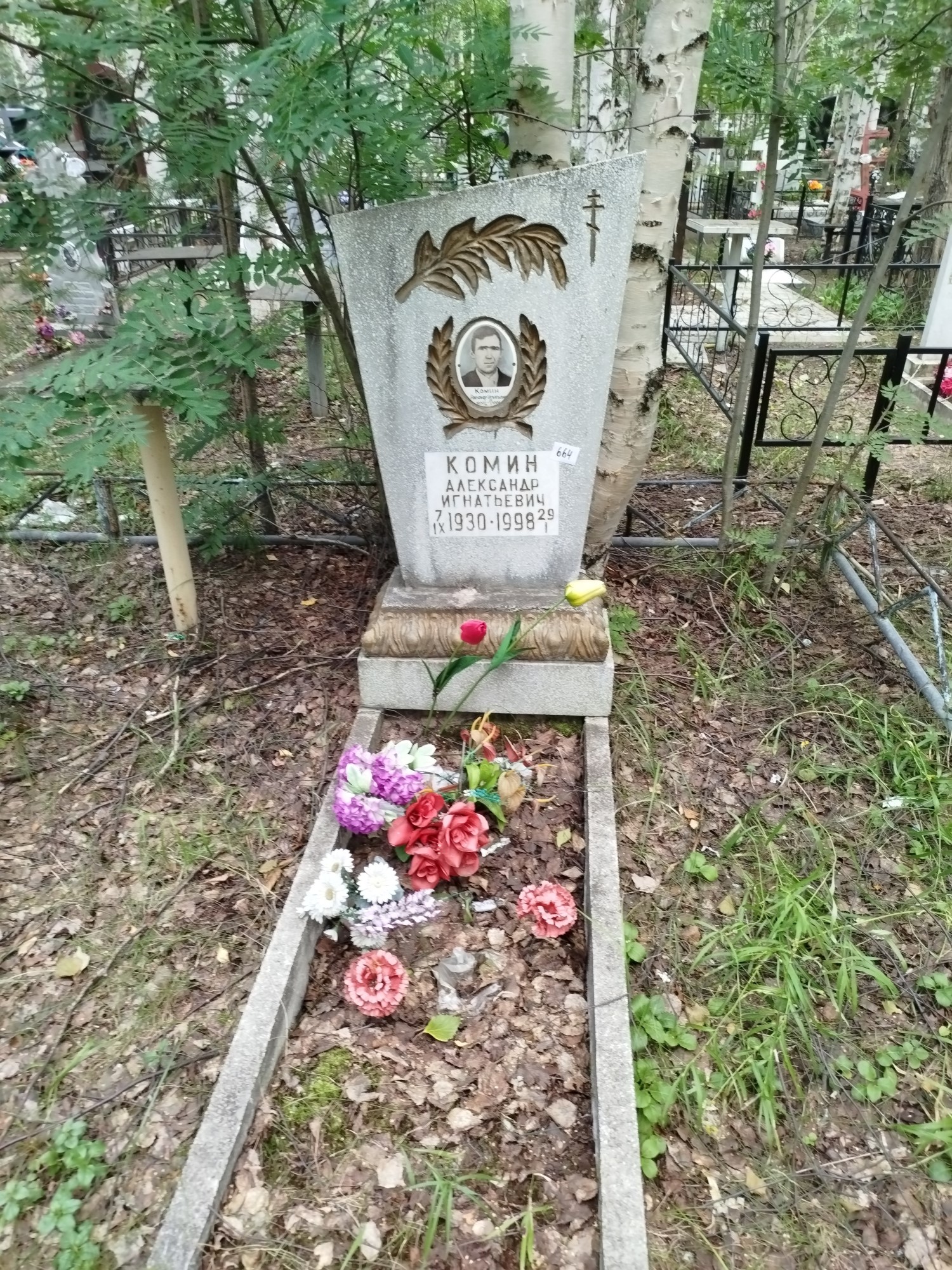 Комин Александр Игнатьевич