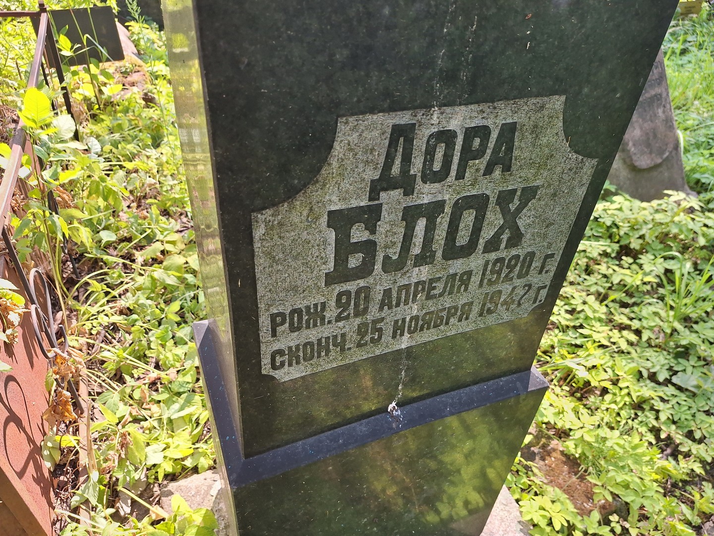 Дора Блох