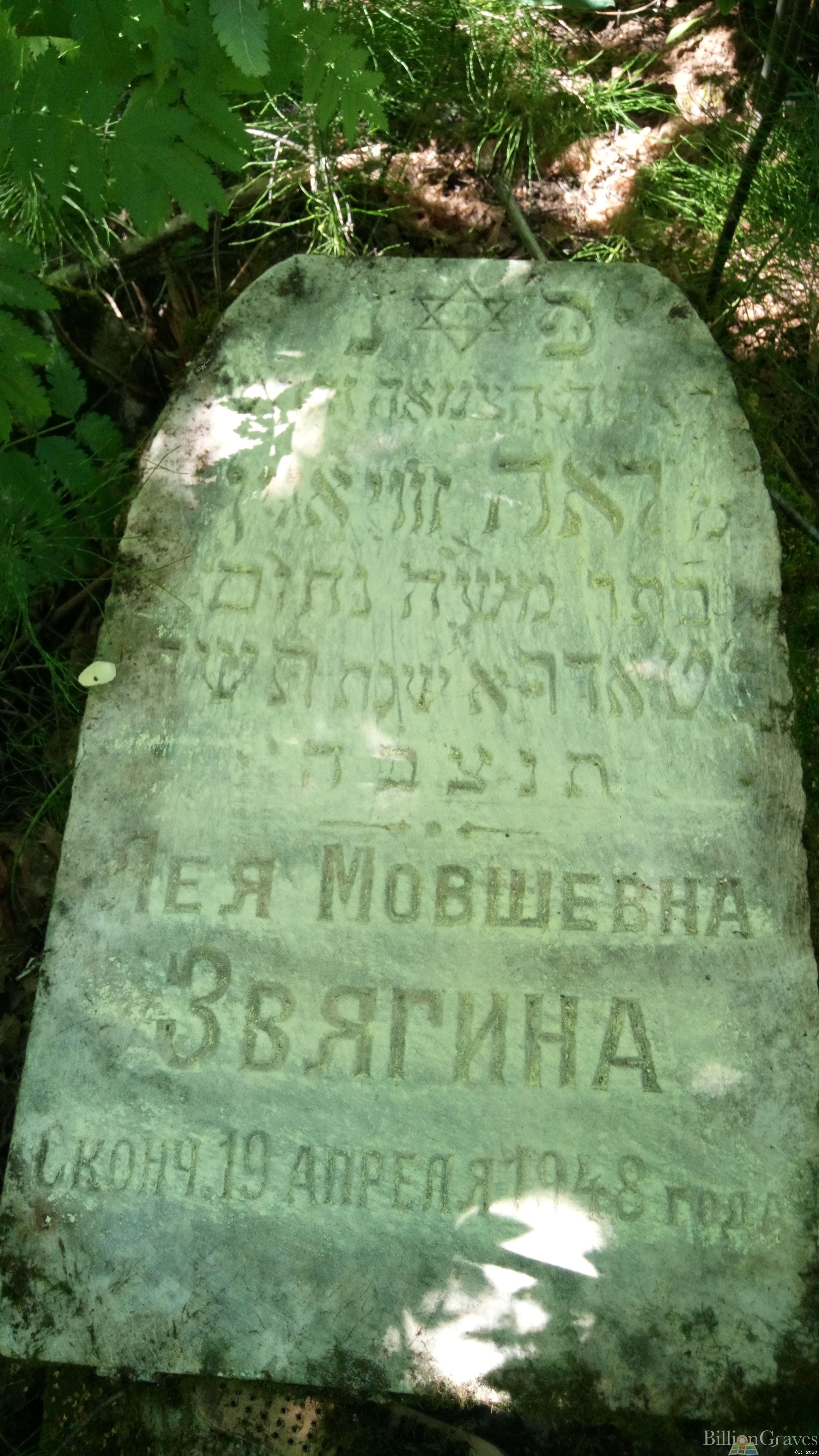 Звягина Лея Мовшевна