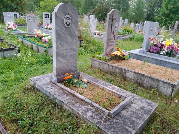 Дзик Елена Владимировна