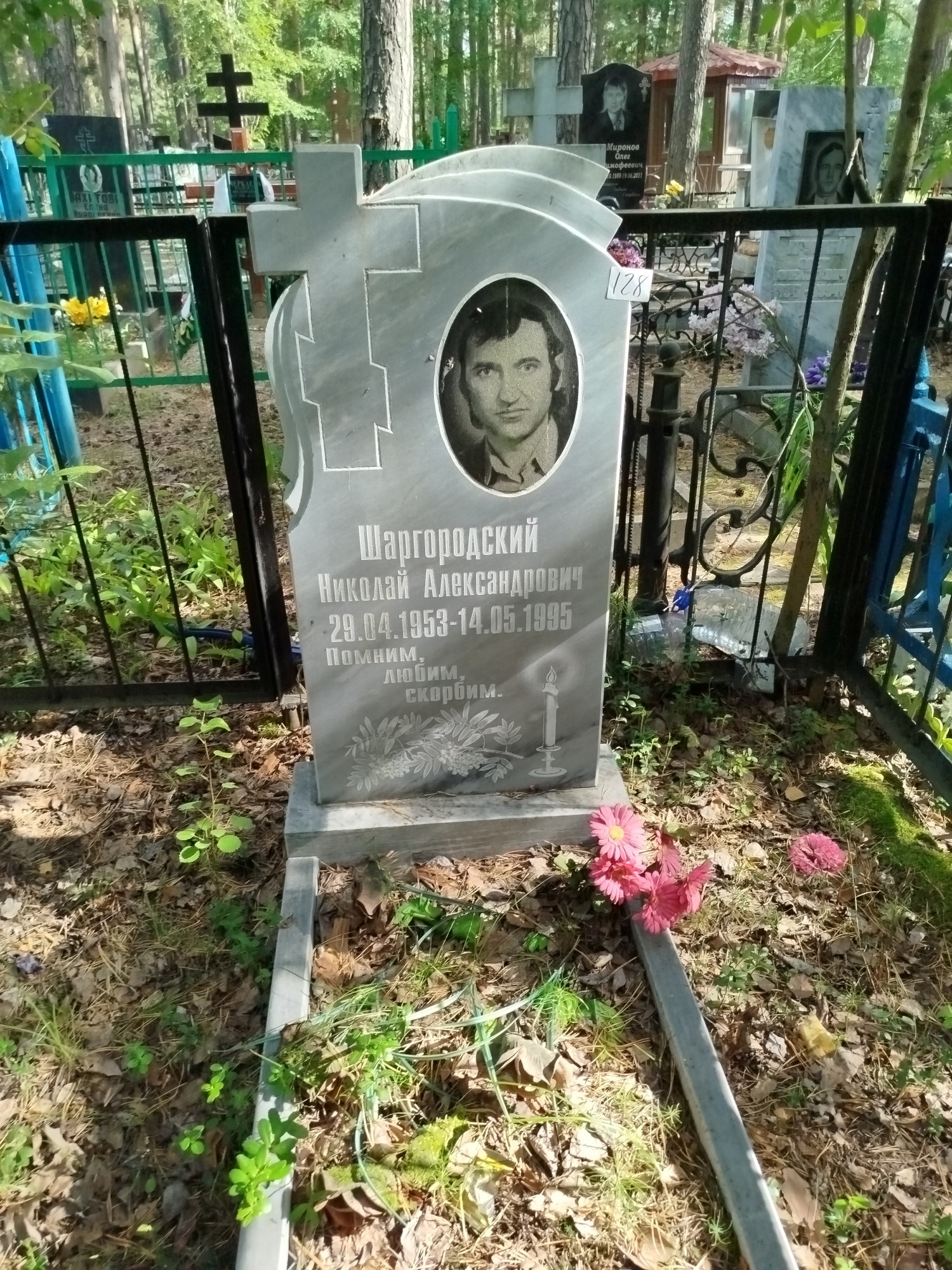 Шаргородский Николай Александрович