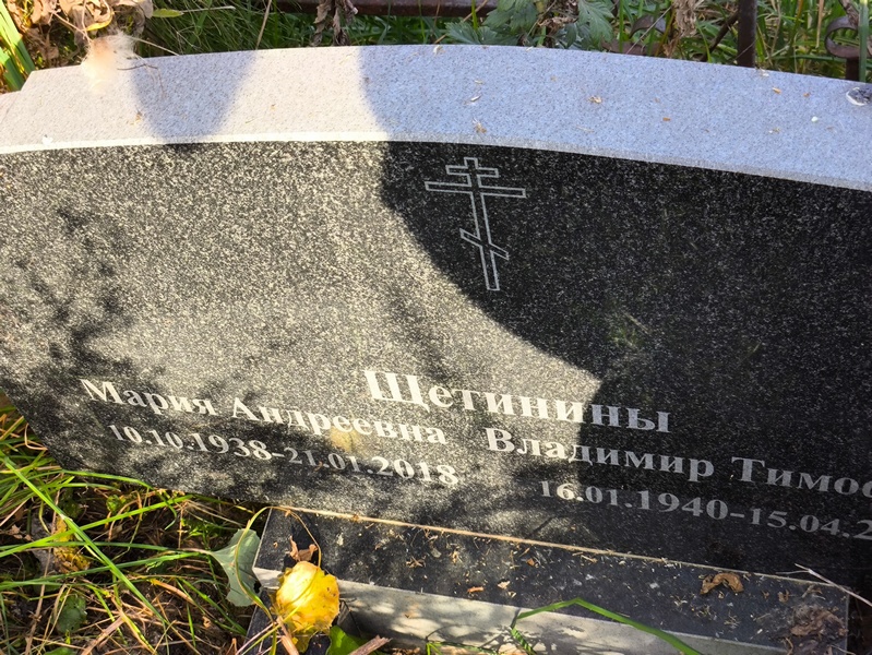 Шетина