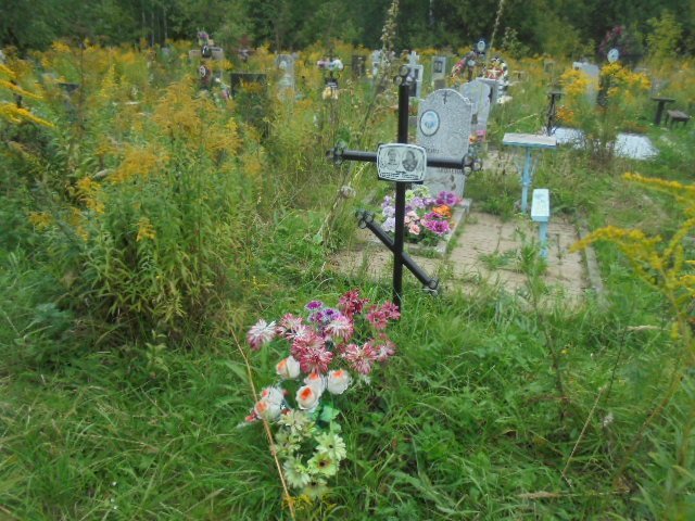 Гудков Александр Андреевич