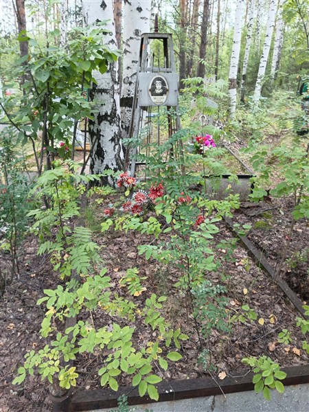Голубчикова Таня