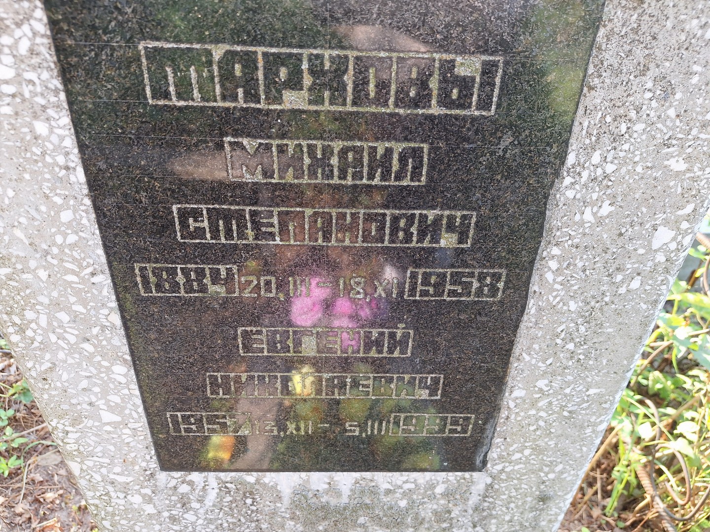 Тархов