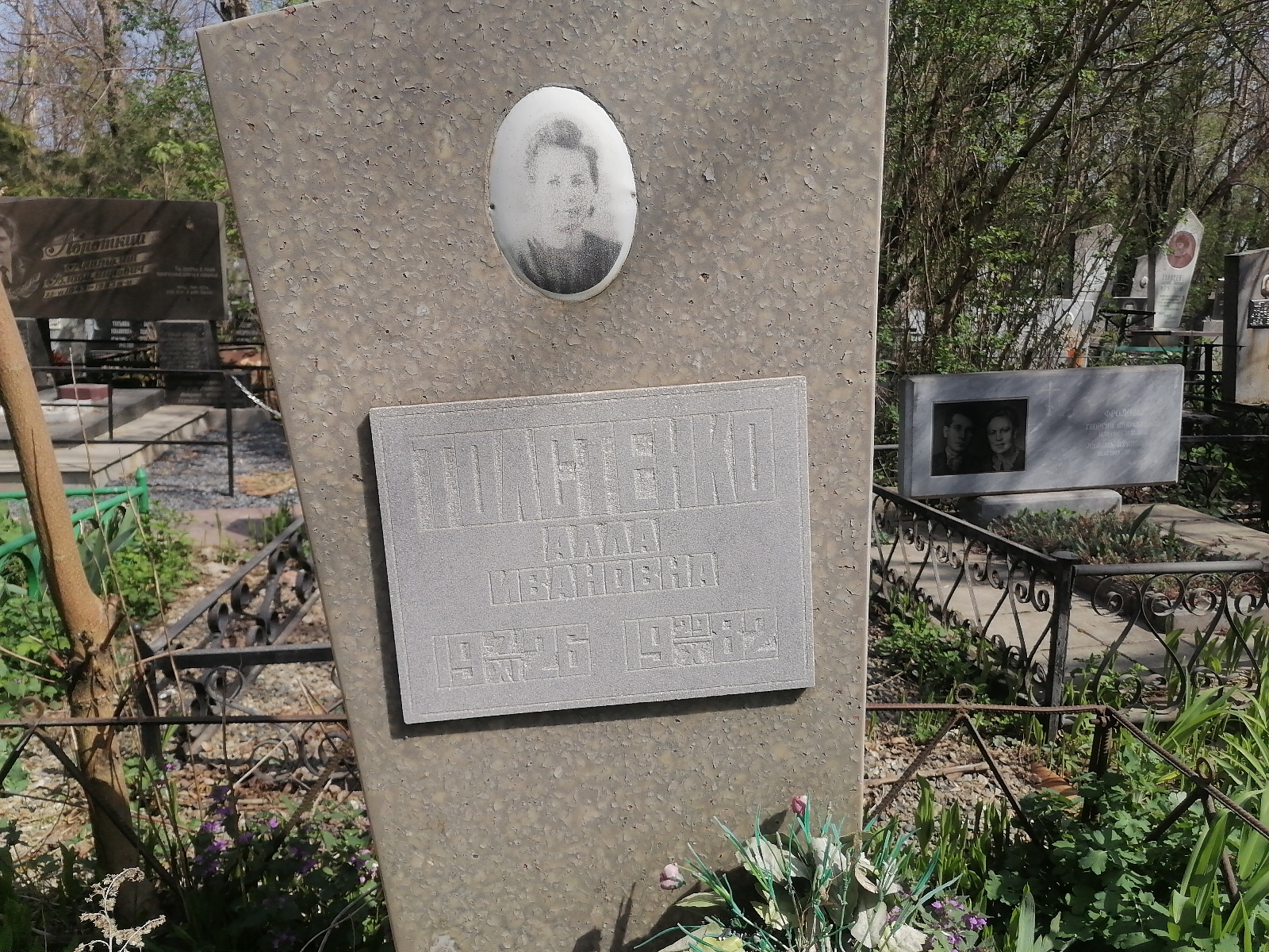 Толстенко Алла Ивановна