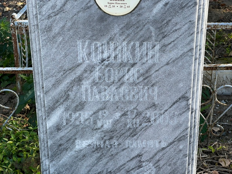 Кошкин