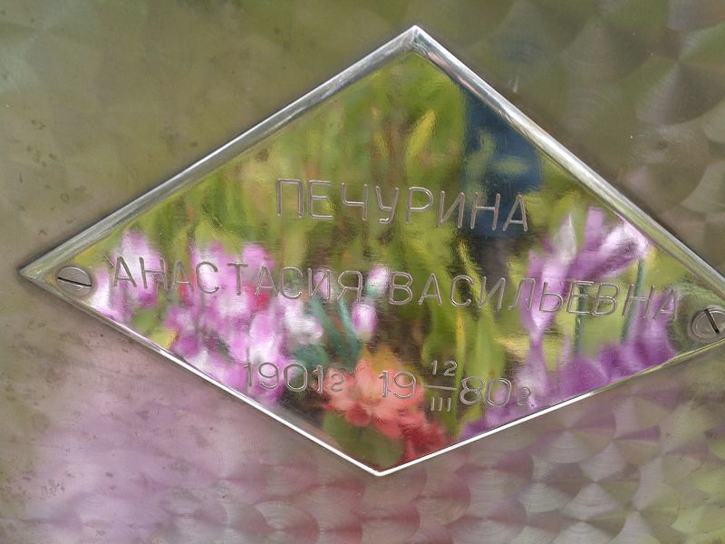 Печурина Анастасия Васильевна