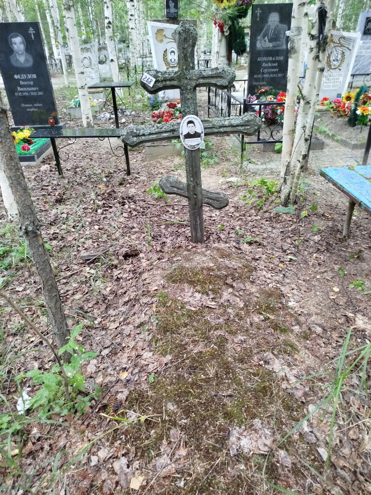 Горбунов А К