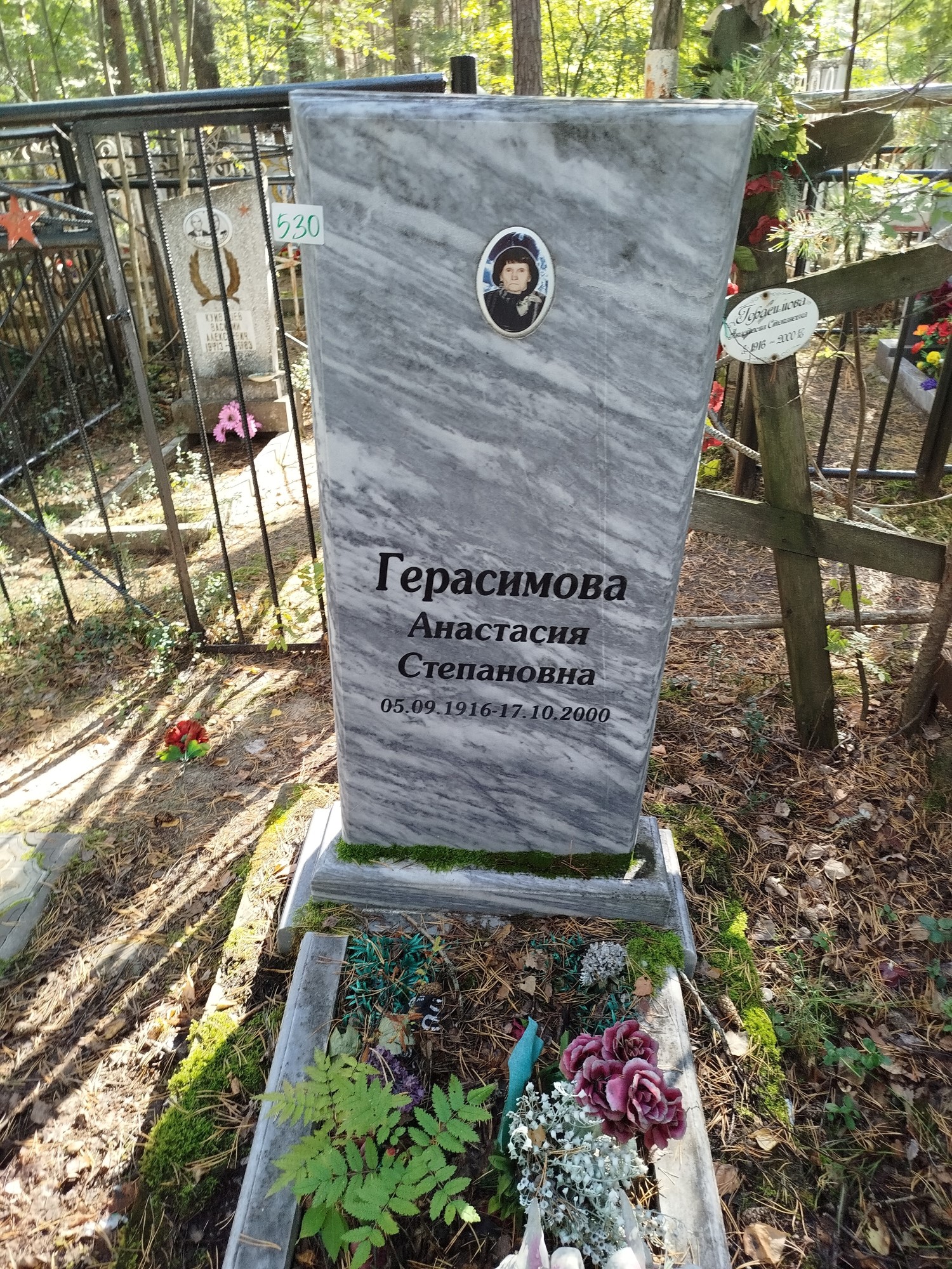 Герасимова Анастасия Степановна