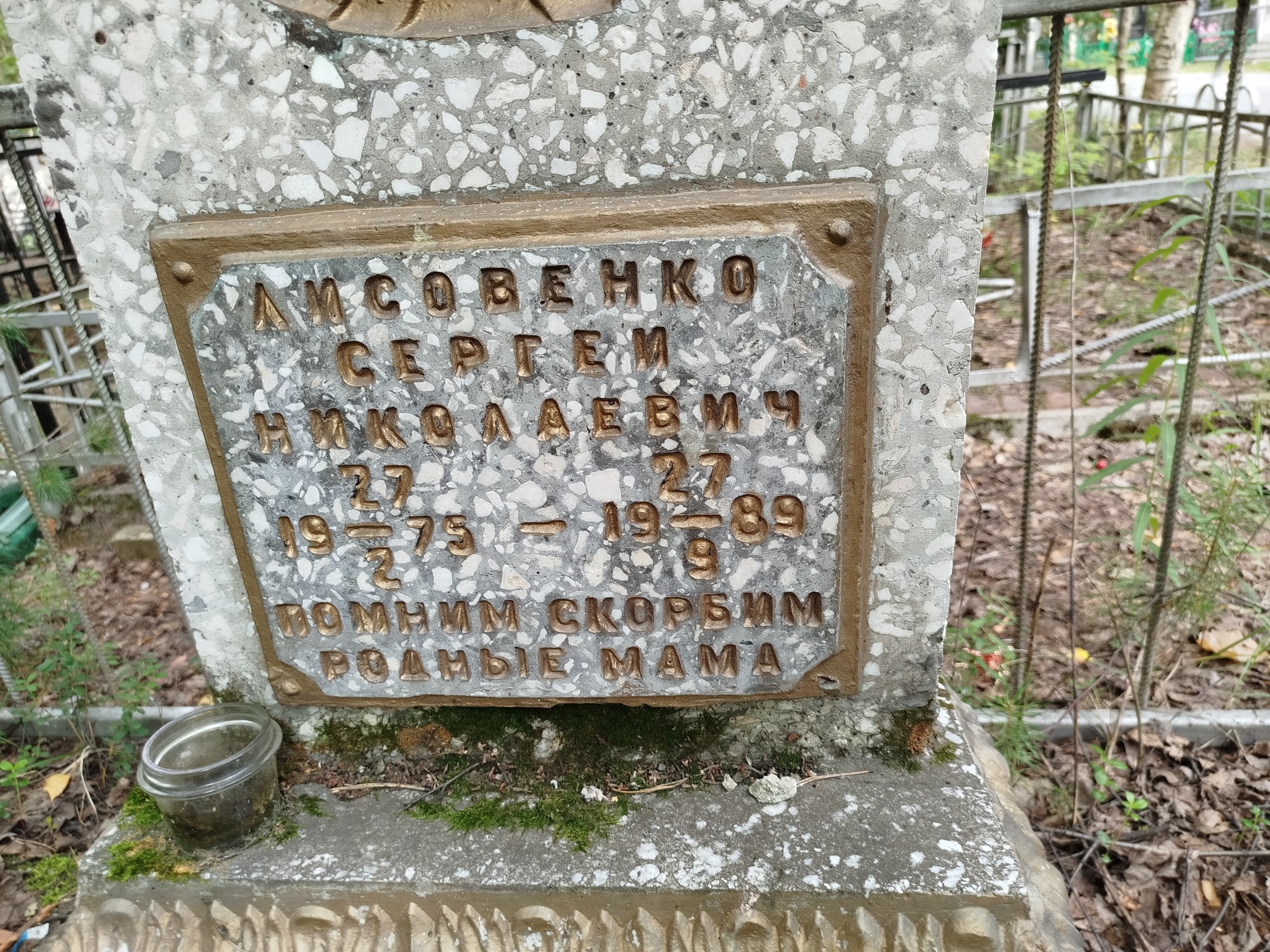 Лисовенко Сергей Николаевич