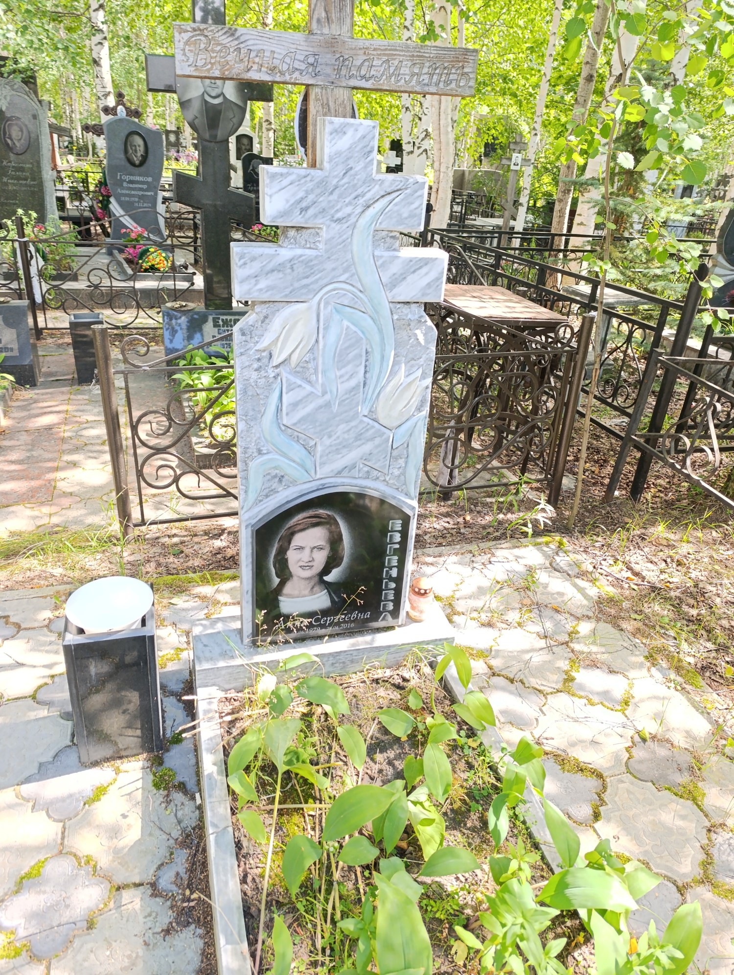 Евгеньева Анна Сергеевна